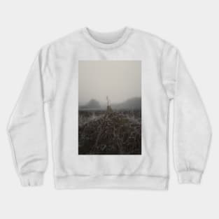 Frosted Fence Crewneck Sweatshirt